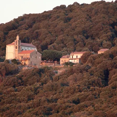 A Turruccia Daire