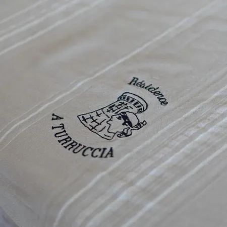 A Turruccia Apartment